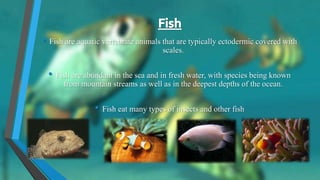• Fish are aquatic vertebrate animals that are typically ectodermic covered with
scales.
• Fish are abundant in the sea and in fresh water, with species being known
from mountain streams as well as in the deepest depths of the ocean.
• Fish eat many types of insects and other fish
 