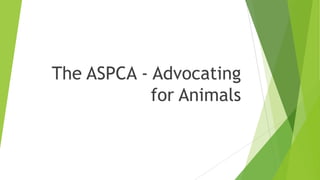The ASPCA - Advocating
for Animals
 