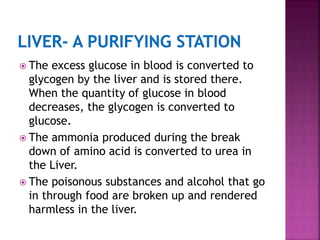  The excess glucose in blood is converted to
glycogen by the liver and is stored there.
When the quantity of glucose in blood
decreases, the glycogen is converted to
glucose.
The ammonia produced during the break
down of amino acid is converted to urea in
the Liver.
The poisonous substances and alcohol that go
in through food are broken up and rendered
harmless in the liver.