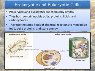Prokaryotic and Eukaryotic Cells 
• Prokaryotes and eukaryotes are chemically similar. 
• They both contain nucleic acids, proteins, lipids, and 
carbohydrates. 
• They use the same kinds of chemical reactions to metabolize 
food, build proteins, and store energy. 
 