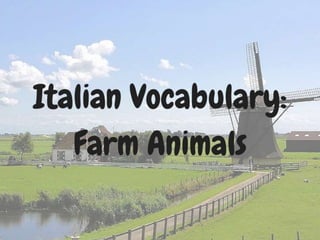 Italian Vocabulary Words: Farm Animals