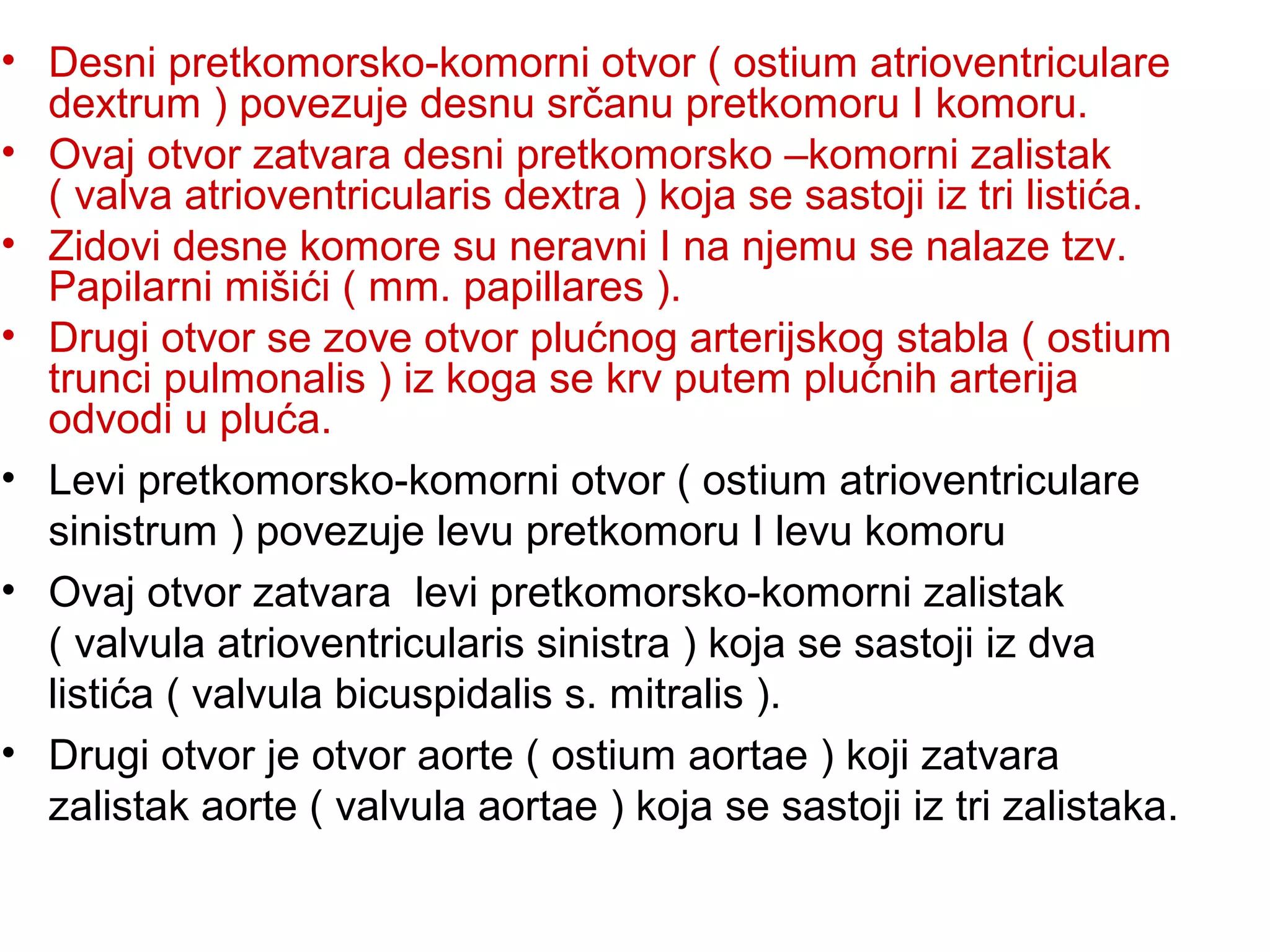 • Desni pretkomorsko-komorni otvor ( ostium atrioventriculare
dextrum ) povezuje desnu srčanu pretkomoru I komoru.
• Ovaj otvor zatvara desni pretkomorsko –komorni zalistak
( valva atrioventricularis dextra ) koja se sastoji iz tri listića.
• Zidovi desne komore su neravni I na njemu se nalaze tzv.
Papilarni mišići ( mm. papillares ).
• Drugi otvor se zove otvor plućnog arterijskog stabla ( ostium
trunci pulmonalis ) iz koga se krv putem plućnih arterija
odvodi u pluća.
• Levi pretkomorsko-komorni otvor ( ostium atrioventriculare
sinistrum ) povezuje levu pretkomoru I levu komoru
• Ovaj otvor zatvara levi pretkomorsko-komorni zalistak
( valvula atrioventricularis sinistra ) koja se sastoji iz dva
listića ( valvula bicuspidalis s. mitralis ).
• Drugi otvor je otvor aorte ( ostium aortae ) koji zatvara
zalistak aorte ( valvula aortae ) koja se sastoji iz tri zalistaka.
 