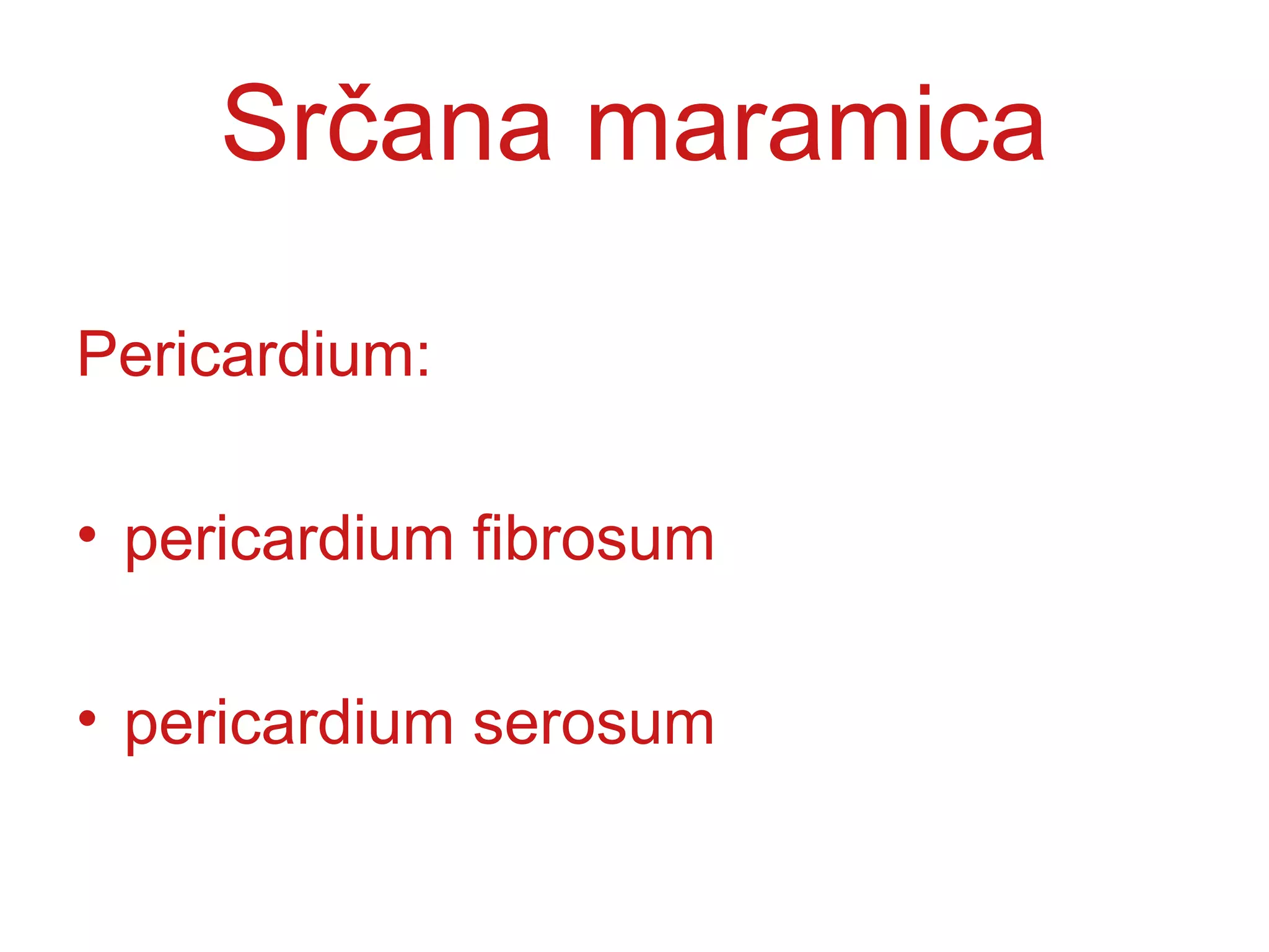 Srčana maramica
Pericardium:
• pericardium fibrosum
• pericardium serosum
 