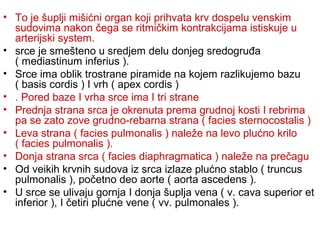 • To je šuplji mišićni organ koji prihvata krv dospelu venskim
sudovima nakon čega se ritmičkim kontrakcijama istiskuje u
arterijski system.
• srce je smešteno u sredjem delu donjeg sredogruđa
( mediastinum inferius ).
• Srce ima oblik trostrane piramide na kojem razlikujemo bazu
( basis cordis ) I vrh ( apex cordis )
• . Pored baze I vrha srce ima I tri strane
• Prednja strana srca je okrenuta prema grudnoj kosti I rebrima
pa se zato zove grudno-rebarna strana ( facies sternocostalis )
• Leva strana ( facies pulmonalis ) naleže na levo plućno krilo
( facies pulmonalis ).
• Donja strana srca ( facies diaphragmatica ) naleže na prečagu
• Od veikih krvnih sudova iz srca izlaze plućno stablo ( truncus
pulmonalis ), početno deo aorte ( aorta ascedens ).
• U srce se ulivaju gornja I donja šuplja vena ( v. cava superior et
inferior ), I četiri plućne vene ( vv. pulmonales ).
 