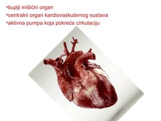 •šuplji mišićni organ
•centralni organ kardiovaskularnog sustava
•aktivna pumpa koja pokreće cirkulaciju
 