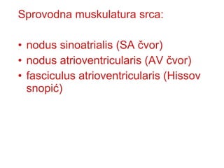 Sprovodna muskulatura srca:
• nodus sinoatrialis (SA čvor)
• nodus atrioventricularis (AV čvor)
• fasciculus atrioventricularis (Hissov
snopić)
 