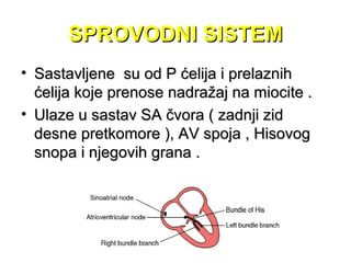 SPROVODNI SISTEMSPROVODNI SISTEM
• Sastavljene su od P ćelija i prelaznihSastavljene su od P ćelija i prelaznih
ćelija koje prenose nadražaj na miocite .ćelija koje prenose nadražaj na miocite .
• Ulaze u sastav SA čvora ( zadnji zidUlaze u sastav SA čvora ( zadnji zid
desne pretkomore ), AV spoja , Hisovogdesne pretkomore ), AV spoja , Hisovog
snopa i njegovih grana .snopa i njegovih grana .
 