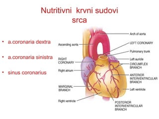 Nutritivni krvni sudovi
srca
• a.coronaria dextra
• a.coronaria sinistra
• sinus coronarius
 
