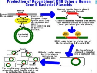 principle and applications of recombinant DNA technology | PPTX