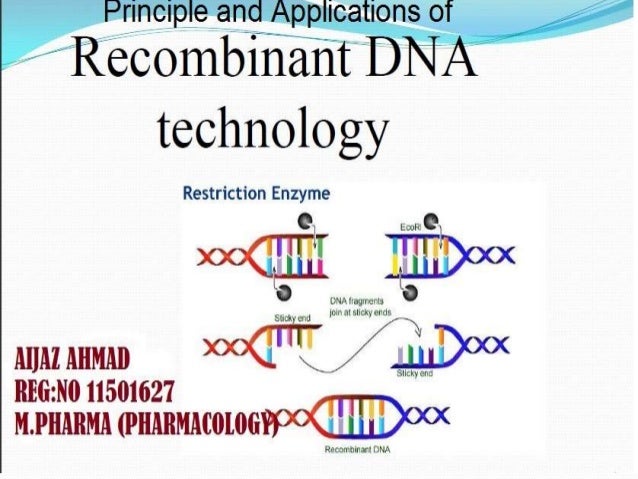 principle and applications of recombinant dna technology recombinant dna technology