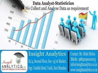 Insight Analytics- Services of Data Analysis