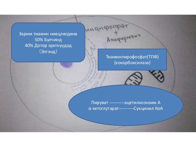Presentation3