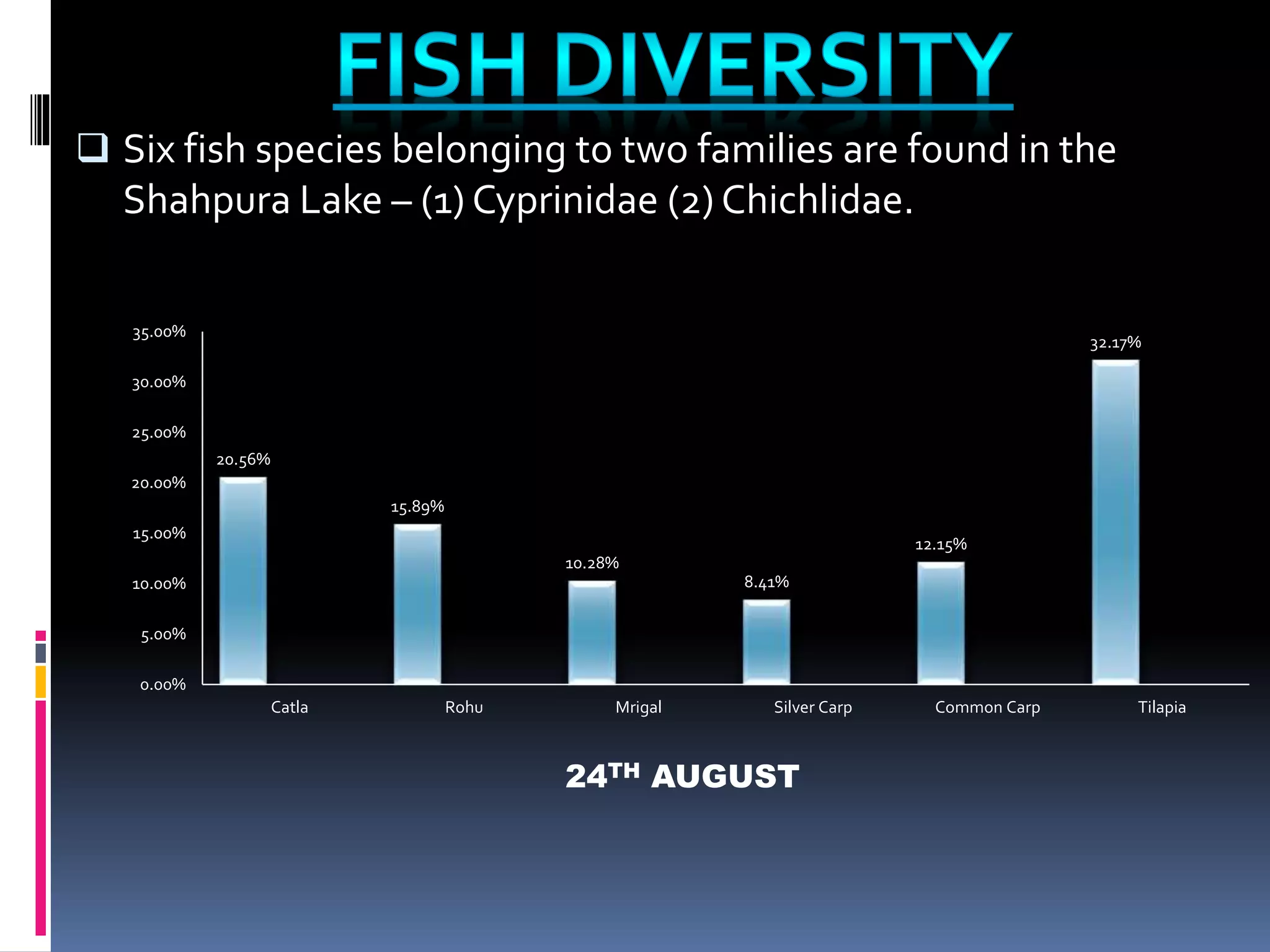  Six fish species belonging to two families are found in the
Shahpura Lake – (1) Cyprinidae (2) Chichlidae.
20.56%
15.89%
10.28%
8.41%
12.15%
32.17%
0.00%
5.00%
10.00%
15.00%
20.00%
25.00%
30.00%
35.00%
Catla Rohu Mrigal Silver Carp Common Carp Tilapia
24TH AUGUST