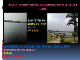 SUBMITTED BY
ABHISHEK GIRI
M.F.SC
3RD SEM
DEPARTMENT OF ZOOLOGY AND APPLIED AQUACULTURE
BARKATULLAH UNIVERSITY
BHOPAL
MADHYA PRADESH
 