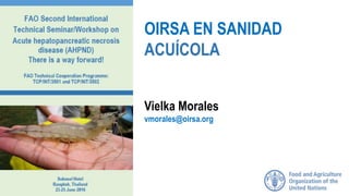 OIRSA EN SANIDAD
ACUÍCOLA
Vielka Morales
vmorales@oirsa.org
 