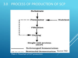 Single cell protein and Leaf protein concentrates as alternative ...
