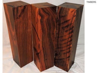TIMBERS
 
