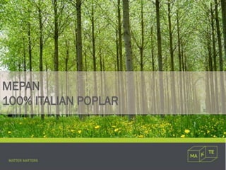 MEPAN
100% ITALIAN POPLAR
 