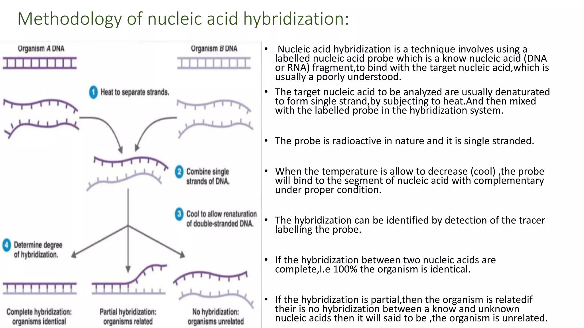 nucleic acid sequencing methods(DNA finger printing,nucleic acid ...