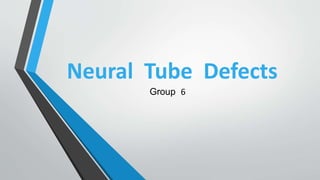 Neural Tube Defects
Group 6
 
