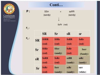 Ssrr
(Sandy)
Conti…
 