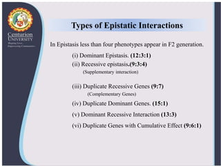 In Epistasis less than four phenotypes appear in F2 generation.
(і) Dominant Epistasis. (12:3:1)
(ii) Recessive epistasis.(9:3:4)
(Supplementary interaction)
(iii) Duplicate Recessive Genes (9:7)
(Complementary Genes)
(iv) Duplicate Dominant Genes. (15:1)
(v) Dominant Recessive Interaction (13:3)
(vi) Duplicate Genes with Cumulative Effect (9:6:1)
Types of Epistatic Interactions
 