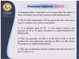  Dominant allele A (epistatic) of one gene hides the effect of
allele of another gene B and expresses itself phenotypically.
 The B allele (hypostatic) will be expressed only when gene
locus A contains two recessive (aa) alleles.
 ‘A’ is epistatic gene of ‘B’. ‘A’ can express itself in the
presence of ‘B’ or ‘b’ allele. Therefore it is called DOMINANT
EPISTASIS.
 Thus, the genotype AA BB or Aa Bb and AA bb or Aa bb
produce the same phenotype genotype aa BB or aa Bb and aa
bb produce two additional phenotype.
 This type of dominant epistasis modifies the classical ratio of
9:3:3:1 into 12:3:1
Dominant Epistasis (12:3:1)
 