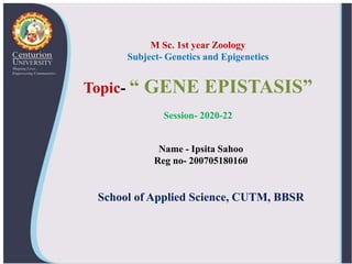 Name - Ipsita Sahoo
Reg no- 200705180160
School of Applied Science, CUTM, BBSR
M Sc. 1st year Zoology
Subject- Genetics and Epigenetics
Topic- “ GENE EPISTASIS”
Session- 2020-22
 