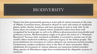 BIODIVERSITY
• Nature has been particularly generous in her gift of sylvan treasures to the state
of Sikkim. Luxuriant forest, abound in all part of state and variety of medicinal
plants, herbs, shrubs, bamboos and trees growing in state is truly rich. In the
forest, there are number of plants whose medicinal values have been well
recognized by local people as well as by different pharmaceutical, insecticidal and
perfumery sectors. Medicinal plants ought to be given the status of a “National
Resources” because their sustained availability is essential to sustain one of the
world’s oldest medicinal traditions, a priceless legacy of the Indian people. The
local inhabitants for treatment of various ailments use numerous herbal remedies.
Furthermore, modern medicines owes to the flora of these mountains. Many
inhabitants for treatment of various ailments use numerous herbal remedies.
Many species of Himalayan origin have revolutionized the allopathic systems of
medicine.
 