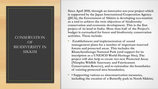 CONSERVATION
OF
BIODIVERSITY IN
SIKKIM
Since April 2010, through an innovative ten-year project which
is supported by the Japan International Cooperation Agency
(JICA), the Government of Sikkim is developing eco-tourism
as a tool to achieve the twin objectives of biodiversity
conservation and economic development. This is the first
project of its kind in India. More than half of the Project’s
budget is earmarked for forest and biodiversity conservation
activities. These include:
• Establishment and implementation of sound
management plans for a number of important reserved
forests and protected areas. This includes the
Khanchendzonga National Park (and support for its
inscription as a UNESCO World Heritage Site); The
project will also help to create two new Protected Areas
(Nimphu Wildlife Sanctuary and Fairrieanum
Conservation Reserve), and to rationalize the boundaries
of existing protected area boundaries;
• • Supporting various ex situconservation measures,
including the creation of a Butterfly park in North Sikkim;
 