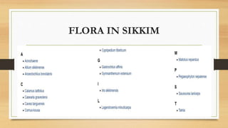 FLORA IN SIKKIM
 
