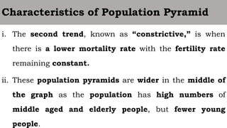 Contrictive Pyramid Presentation3.pptx