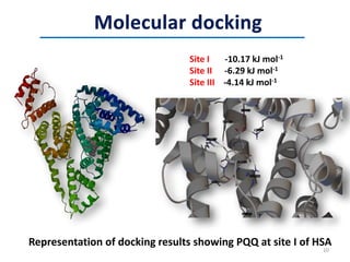 Representation of docking results showing PQQ at site I of HSA
Site I -10.17 kJ mol-1
Site II -6.29 kJ mol-1
Site III -4.14 kJ mol-1
10
 