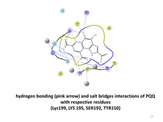 hydrogen bonding (pink arrow) and salt bridges interactions of PQQ
with respective residues
(Lys199, LYS 195, SER192, TYR150)
13
 