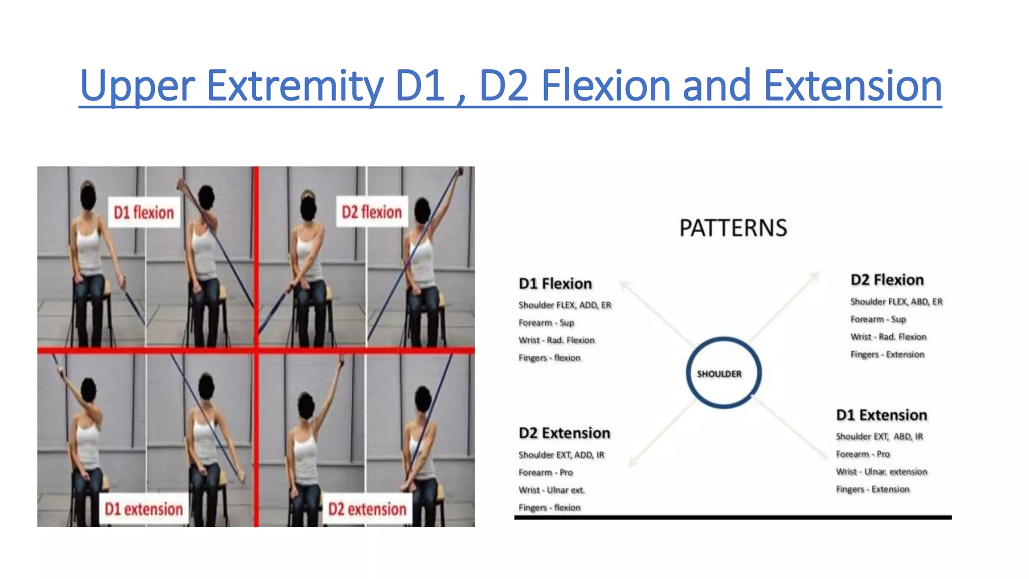 Upper Extremity D1 , D2 Flexion and Extension
 