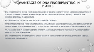 DNA FINGERPRINTING BY JAMWAL | PPT