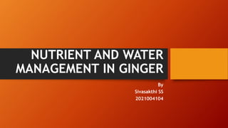 NUTRIENT AND WATER
MANAGEMENT IN GINGER
By
Sivasakthi SS
2021004104
 