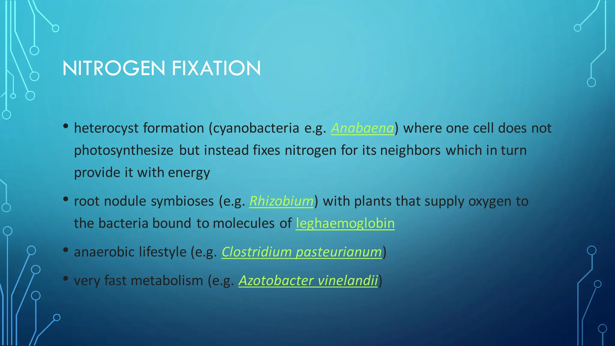 NITROGEN FIXATION
• heterocyst formation (cyanobacteria e.g. Anabaena) where one cell does not
photosynthesize but instead fixes nitrogen for its neighbors which in turn
provide it with energy
• root nodule symbioses (e.g. Rhizobium) with plants that supply oxygen to
the bacteria bound to molecules of leghaemoglobin
• anaerobic lifestyle (e.g. Clostridium pasteurianum)
• very fast metabolism (e.g. Azotobacter vinelandii)
 