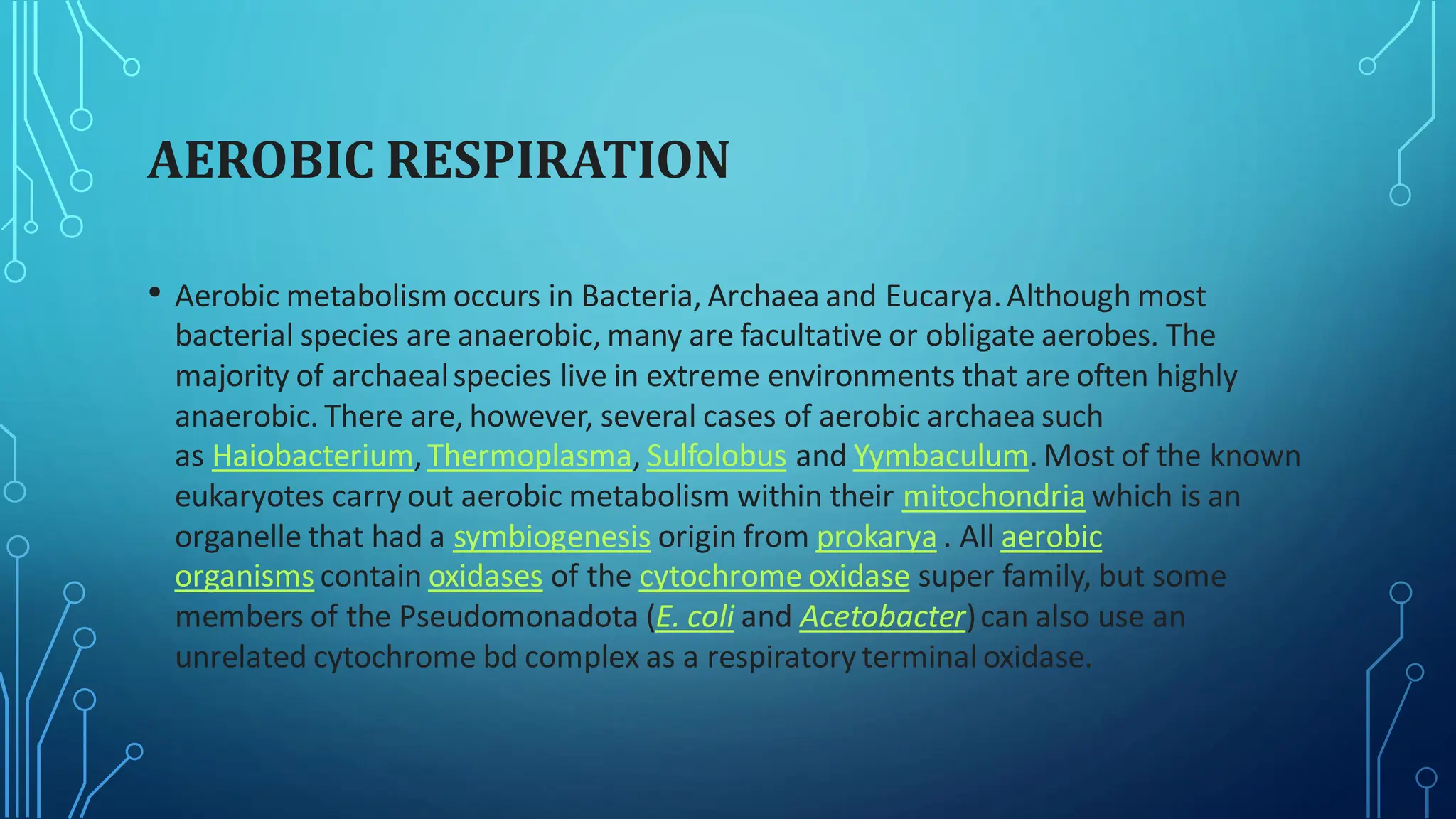 AEROBIC RESPIRATION
• Aerobic metabolism occurs in Bacteria, Archaea and Eucarya.Although most
bacterial species are anaerobic, many are facultative or obligate aerobes. The
majority of archaealspecies live in extreme environments that are often highly
anaerobic. There are, however, several cases of aerobic archaea such
as Haiobacterium,Thermoplasma, Sulfolobus and Yymbaculum. Most of the known
eukaryotes carry out aerobic metabolism within their mitochondria which is an
organelle that had a symbiogenesis origin from prokarya . All aerobic
organisms contain oxidases of the cytochrome oxidase super family, but some
members of the Pseudomonadota (E. coli and Acetobacter)can also use an
unrelated cytochrome bd complex as a respiratory terminal oxidase.
 