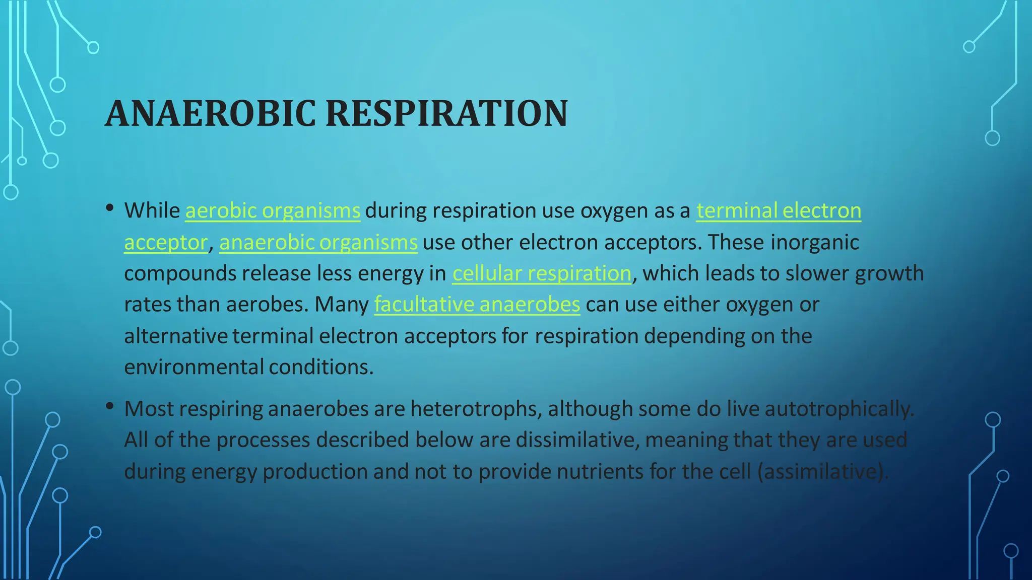 ANAEROBIC RESPIRATION
• While aerobic organisms during respiration use oxygen as a terminal electron
acceptor, anaerobic organisms use other electron acceptors. These inorganic
compounds release less energy in cellular respiration, which leads to slower growth
rates than aerobes. Many facultative anaerobes can use either oxygen or
alternativeterminal electron acceptors for respiration depending on the
environmental conditions.
• Most respiring anaerobes are heterotrophs, although some do live autotrophically.
All of the processes described below are dissimilative, meaning that they are used
during energy production and not to provide nutrients for the cell (assimilative).
 