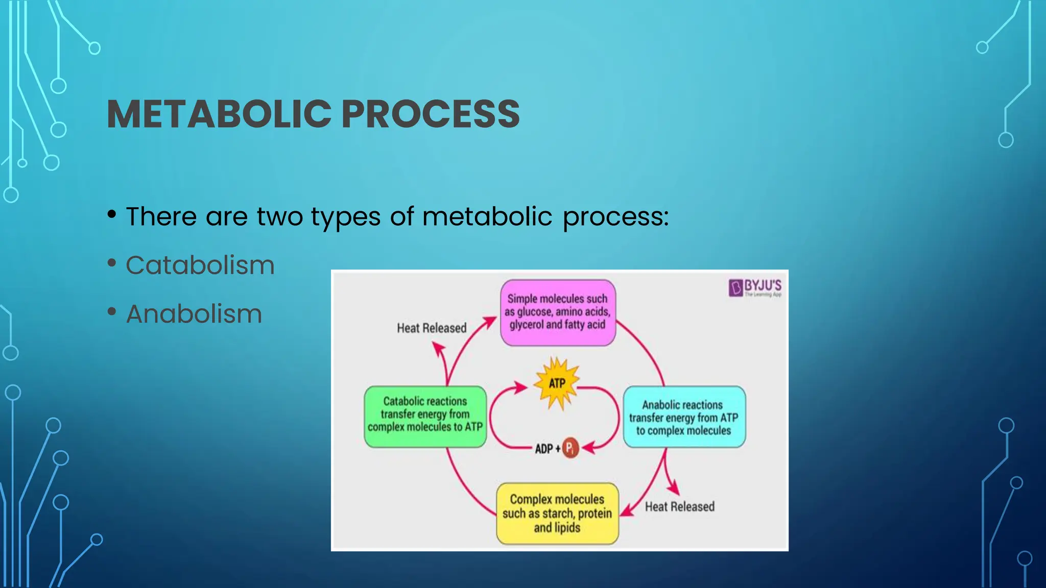 METABOLIC PROCESS
• There are two types of metabolic process:
• Catabolism
• Anabolism
 
