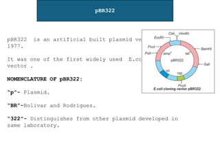 pBR322
pBR322 is an artificial built plasmid vector in
1977.
It was one of the first widely used E.coli cloning
vector .
NOMENCLATURE OF pBR322:
“p”- Plasmid.
“BR”-Bolivar and Rodriguez.
“322”- Distinguishes from other plasmid developed in
same laboratory.
 