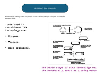 RECOMBINANT DNA TECHNOLOGY
Recombinant DNA technology involves using enzymes and various laboratory techniques to manipulate and isolate DNA
segments of interest.
The basic steps of rDNA technology usin
the bacterial plasmid as cloning vector
Tools used in
recombinant DNA
technology are:
• Enzymes.
• Vectors.
• Host organisms.
 