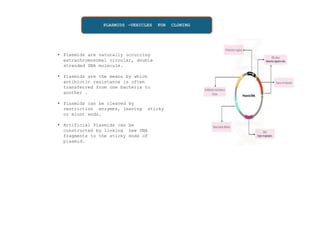 PLASMIDS –VEHICLES FOR CLONING
• Plasmids are naturally occurring
extrachromosomal circular, double
stranded DNA molecule.
• Plasmids are the means by which
antibiotic resistance is often
transferred from one bacteria to
another .
• Plasmids can be cleaved by
restriction enzymes, leaving sticky
or blunt ends.
• Artificial Plasmids can be
constructed by linking new DNA
fragments to the sticky ends of
plasmid.
 