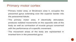 Presentation 3.pptx about frontal lobe a