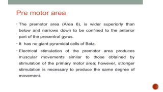 Presentation 3.pptx about frontal lobe a