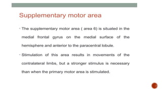 Presentation 3.pptx about frontal lobe a