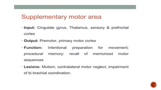 Presentation 3.pptx about frontal lobe a