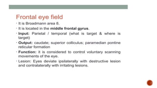 Presentation 3.pptx about frontal lobe a