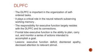 Presentation 3.pptx about frontal lobe a